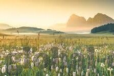 抢庄牛牛游戏手机版-抢庄牛牛游戏，移动时代下的经典博弈